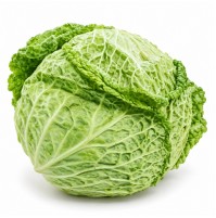 Savoy Cabbage
